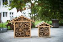 Insektenhotels